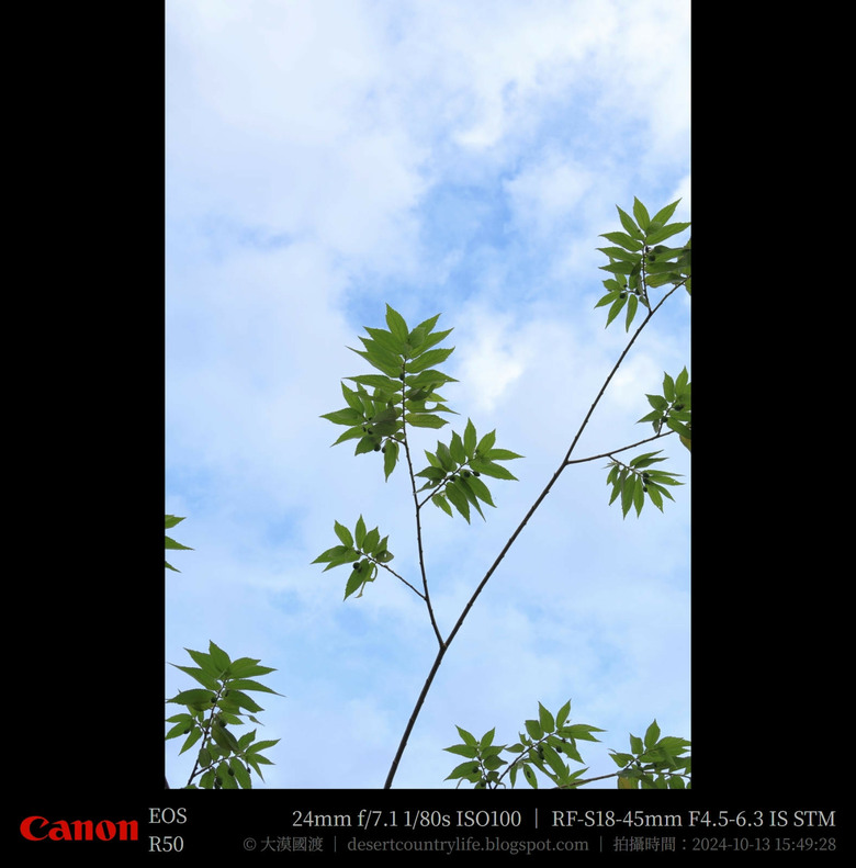 【遊記】奇萊山腳下享受「山水、稻香、鳥鳴、花艷」，蓮城蓮花園 ｜ 大漠國渡
