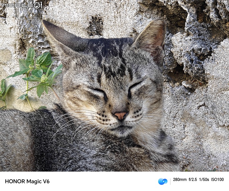 點我看大圖 HONOR Magic V6 評測報告|4mm 超薄機身、AI 靈感幫拍超貼心!