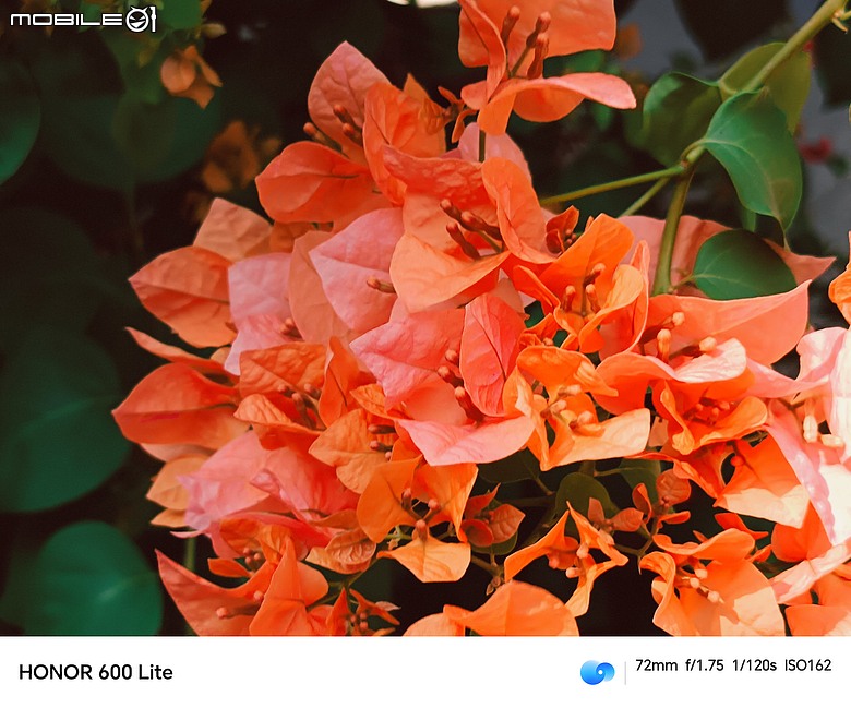 點我看大圖 HONOR 600 Lite|主打人像、輕薄機身與 AI 鍵,實拍體驗一次看