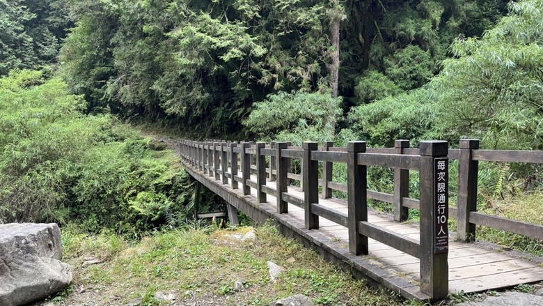 【特富野古道最新實況】新手、老手都可以來參考！自忠&rarr;3.7K實際走一趟🥾🌲