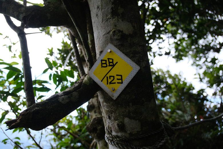 點我看大圖 【外鳥嘴山】蒐集台灣四座名為「鳥嘴山」的主要山峰| 蓮包山一日 O 型縱走