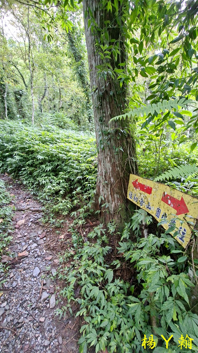 【台灣小百岳】山與海的雙重享受 — 從太平洋，到初音山