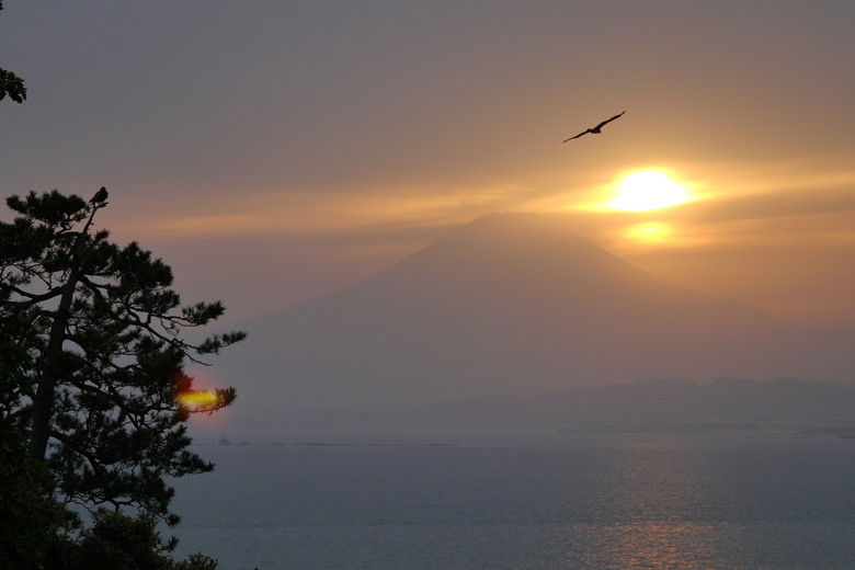 神奈川縣旅遊 江之島