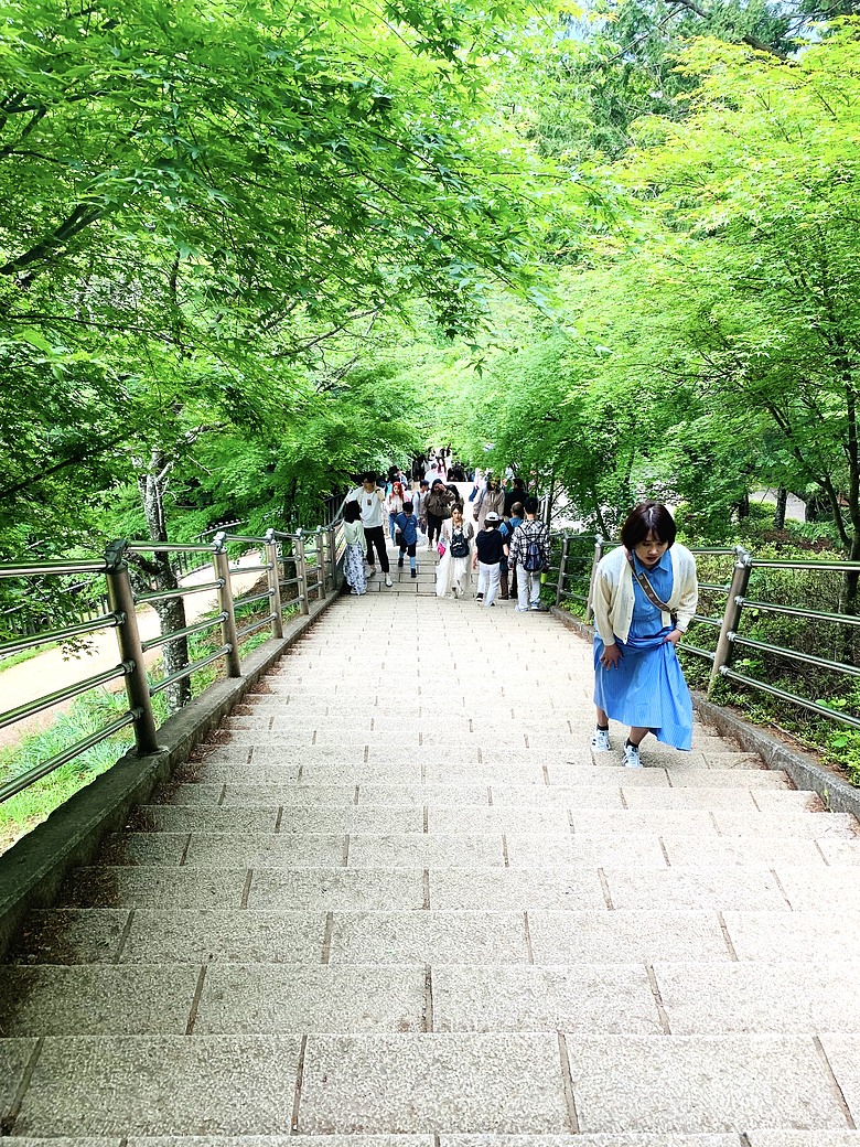 點我看大圖 <日本>2024~新倉富士淺間神社賞富士山、河口湖纜車及遊湖、和食山彥午餐