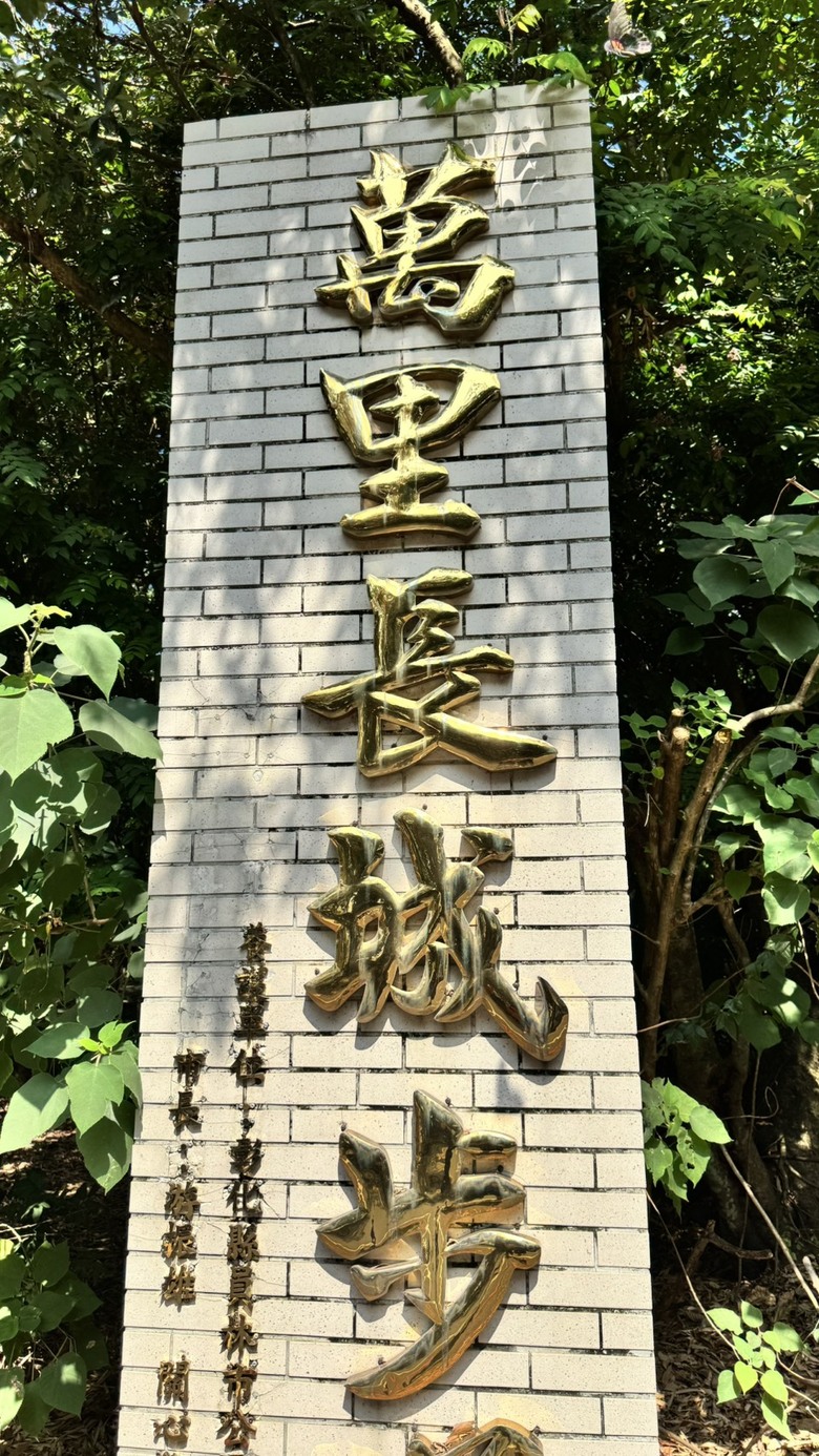 【彰化員林半日遊】藤山步道不只爬山，還有熱鬧市集！逛到買到手軟，全程實況分享＋抽超商禮券🎁