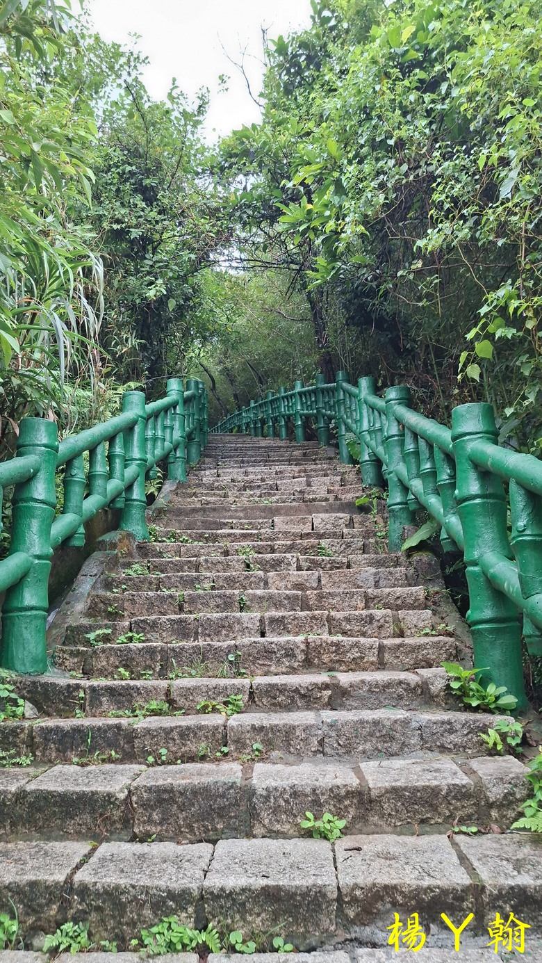 【郊山走走】青山瀑布整修後重新開放！來趟放鬆身心、呼吸芬多精、享受清涼森林浴的夏日消暑之旅
