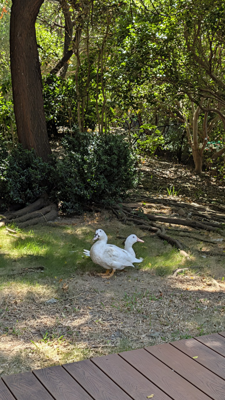 小遊高雄中都唐榮磚窯廠&濕地公園