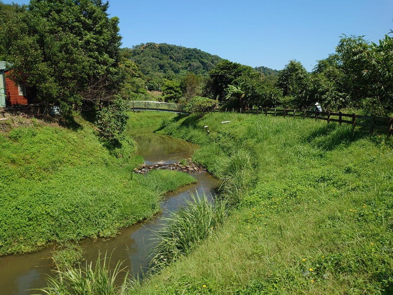 假日登山紀實，大刀山、大九芎古道、溪州山、湳仔溝古道及頭寮山