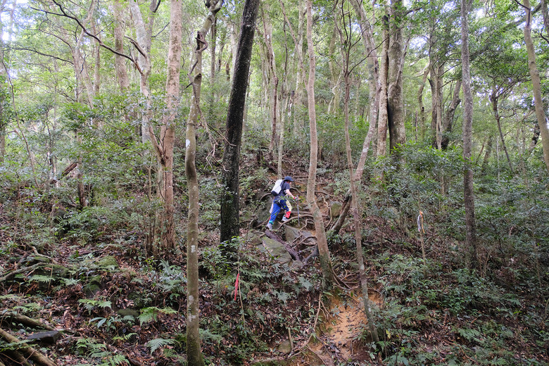 點我看大圖 【外鳥嘴山】蒐集台灣四座名為「鳥嘴山」的主要山峰| 蓮包山一日 O 型縱走