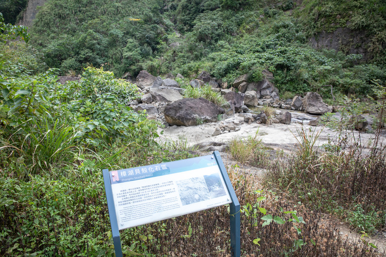 點我看大圖 走進雲嘉交界的秘境:草嶺小天梯、萬年峽谷地質奇景與在地美食的一日散策