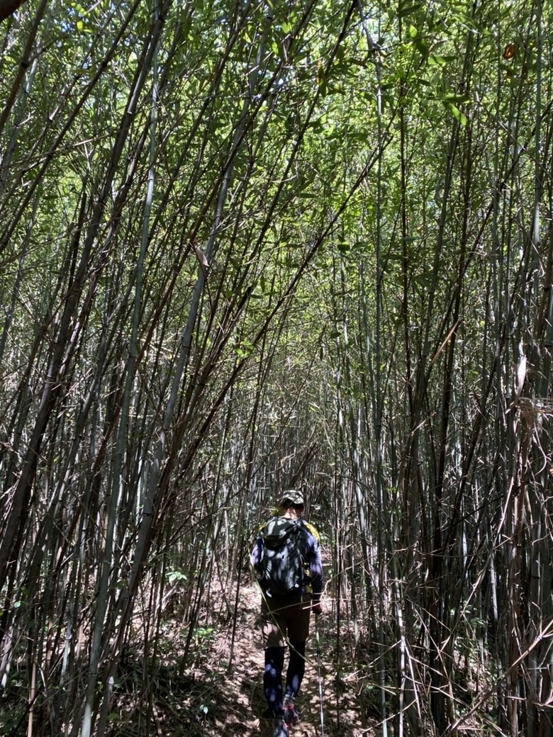 假日登山紀實，大刀山、大九芎古道、溪州山、湳仔溝古道及頭寮山