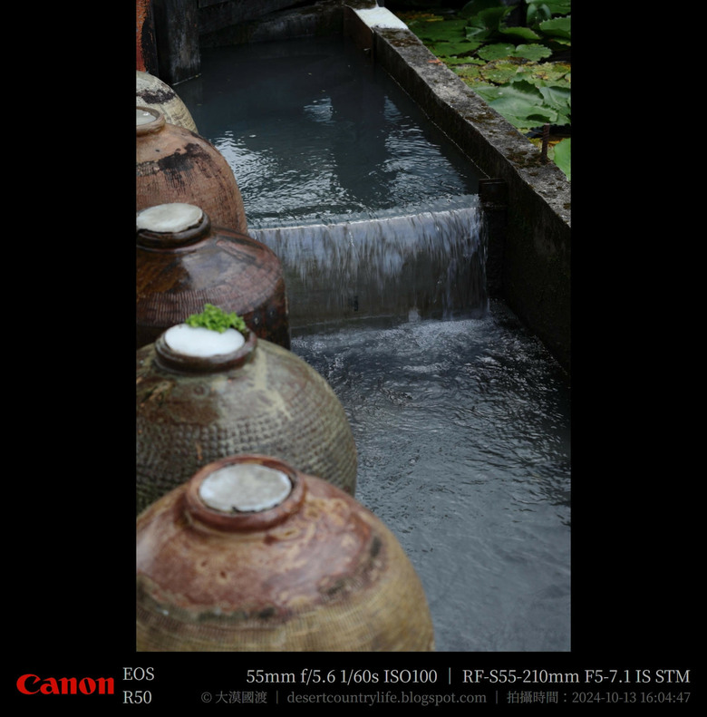 【遊記】奇萊山腳下享受「山水、稻香、鳥鳴、花艷」，蓮城蓮花園 ｜ 大漠國渡