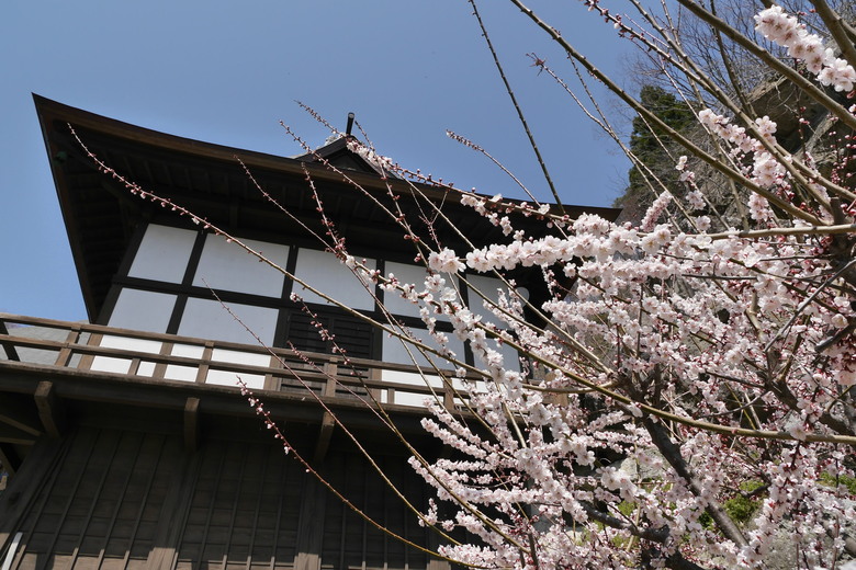 山形縣旅遊紀錄 宝珠山 立石寺(山寺)
