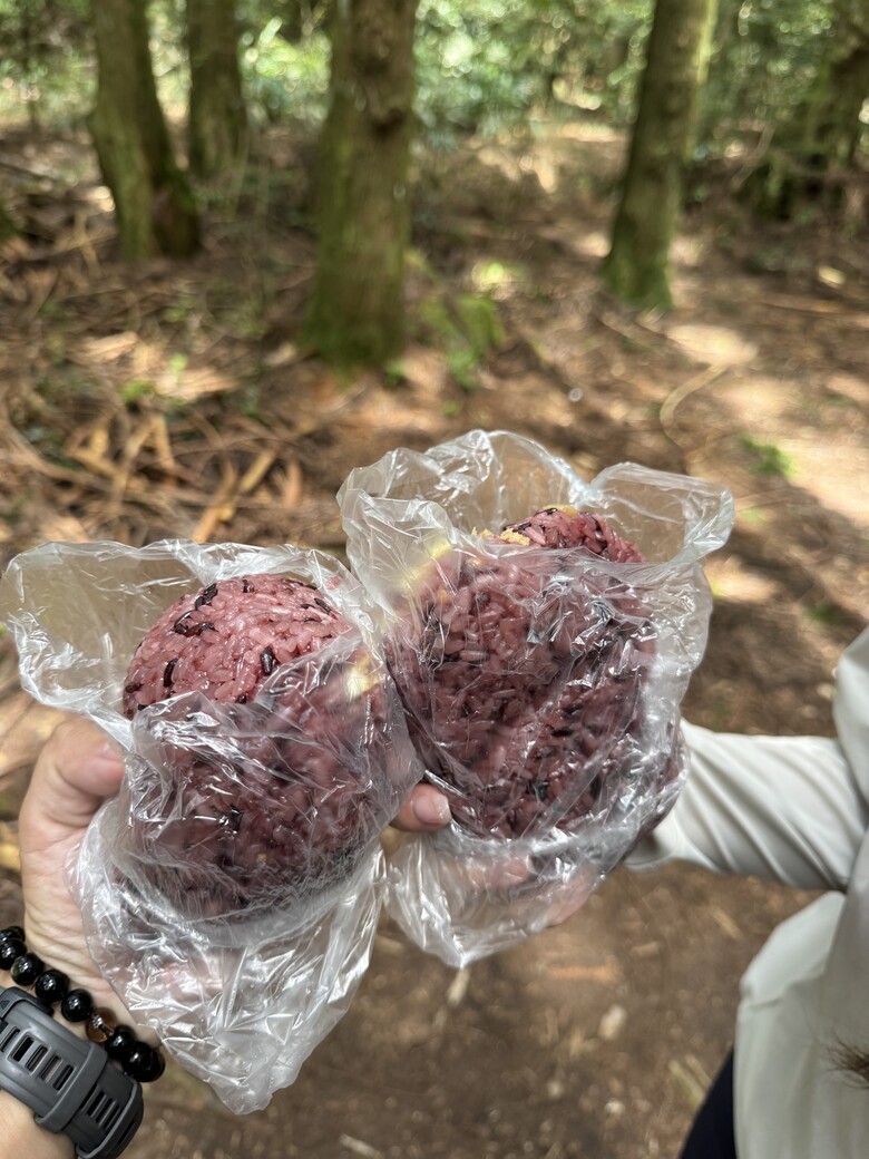 點我看大圖 2026秋分|雪見北坑山,我的回歸山林之路 x 野戰口糧C開箱