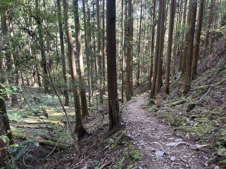 完 走 和 歌 山 熊 野 古 道 朝 聖 之 旅 ( 第 二 天 )