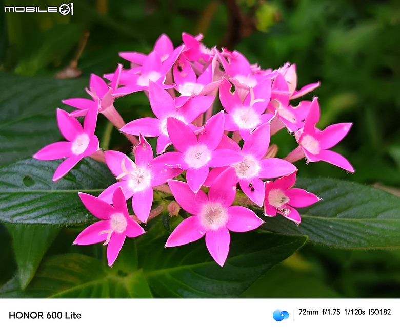 點我看大圖 HONOR 600 Lite|主打人像、輕薄機身與 AI 鍵,實拍體驗一次看