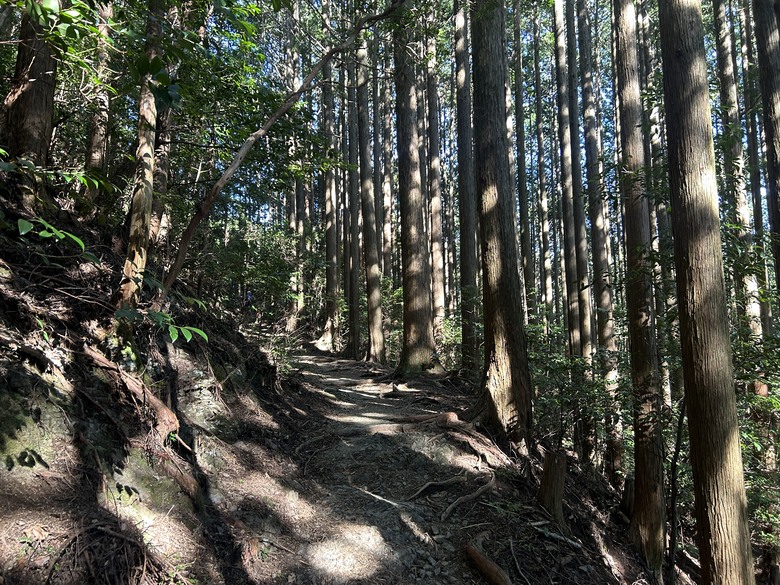 挑 戰 和 歌 山 熊 野 古 道 朝 聖 之 旅 ( 第 一 天 )