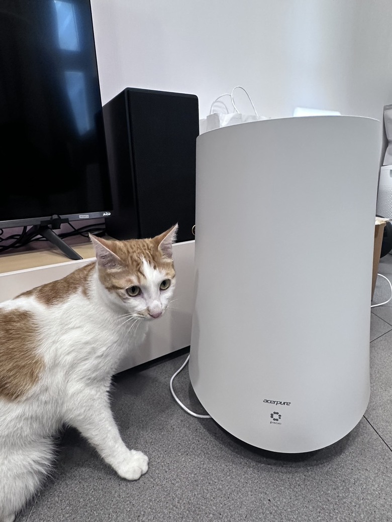 #開箱Acerpure寵物空氣清淨機
