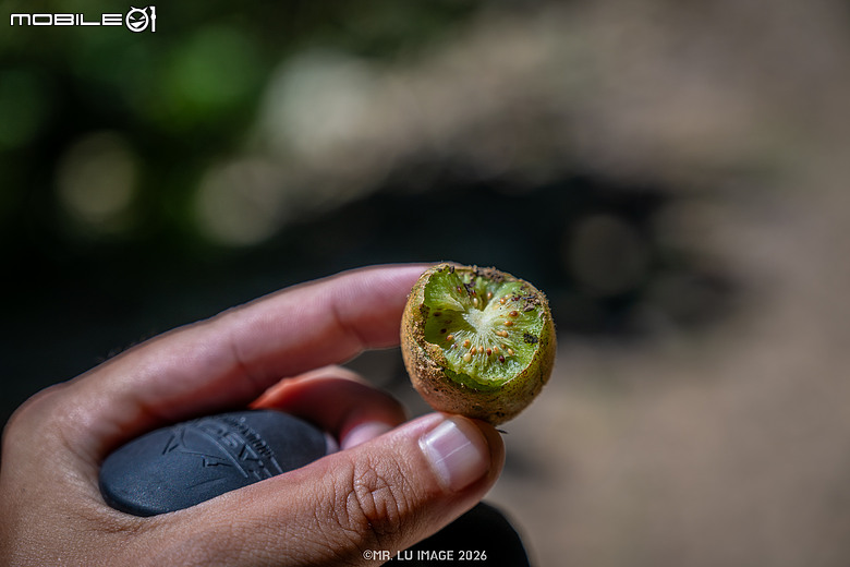 點我看大圖 2026秋分|雪見北坑山,我的回歸山林之路 x 野戰口糧C開箱
