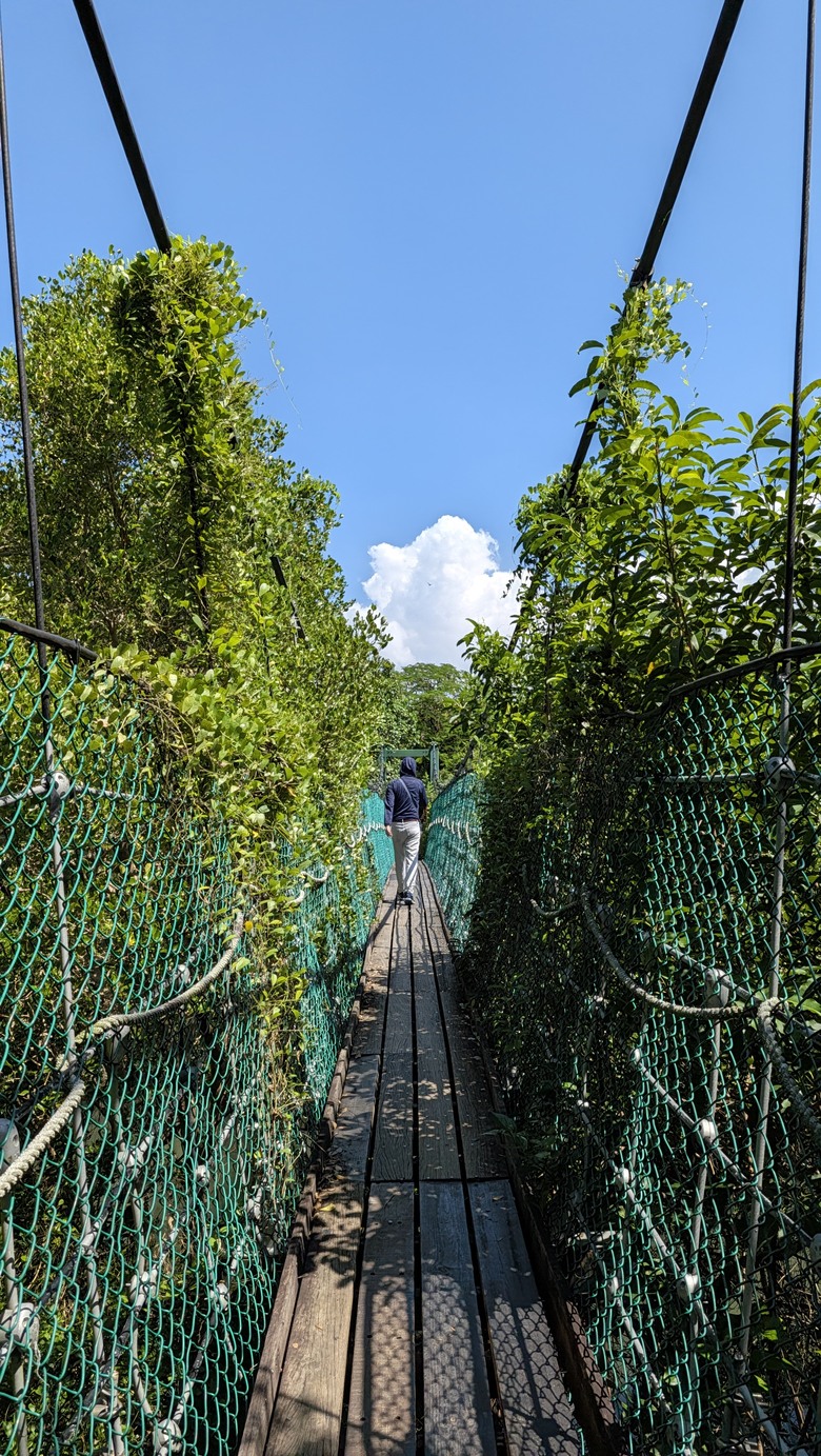 小遊高雄中都唐榮磚窯廠&濕地公園