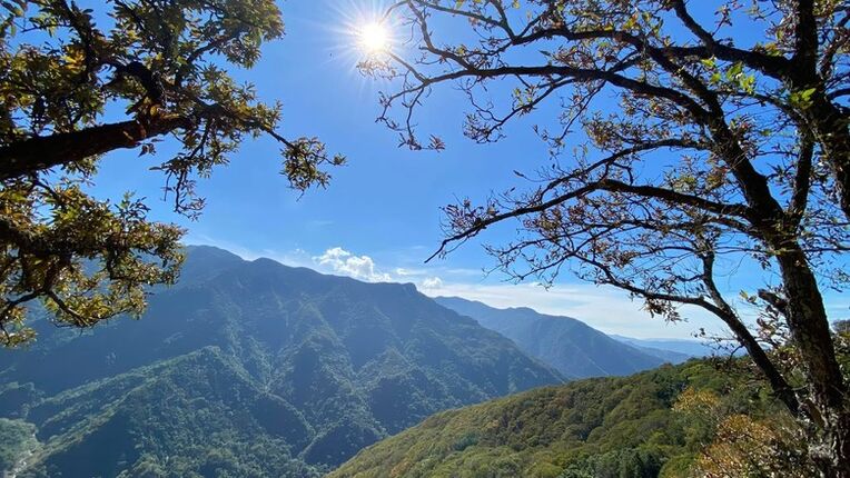 【苗栗】泰安虎山全程路況實測！傳說中的「水雲三星之首」到底有多虐？（附影片＆注意事項）