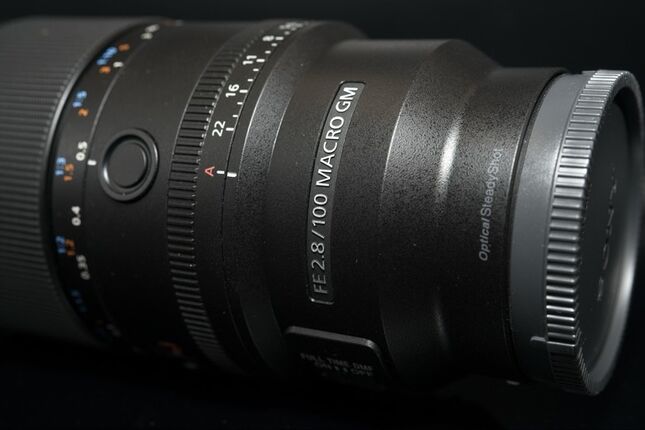 [初體驗] Sony FE 100mm f/2.8 Macro GM OSS