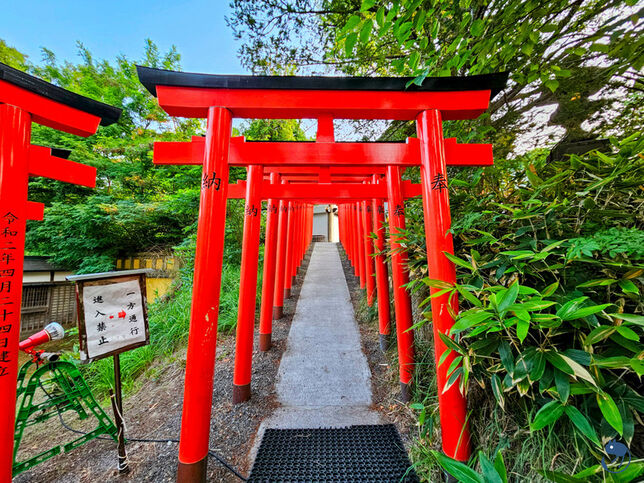 日本-小樽|*小樽的夏日也很好玩* 小樽總鎮守 住吉神社 例大祭