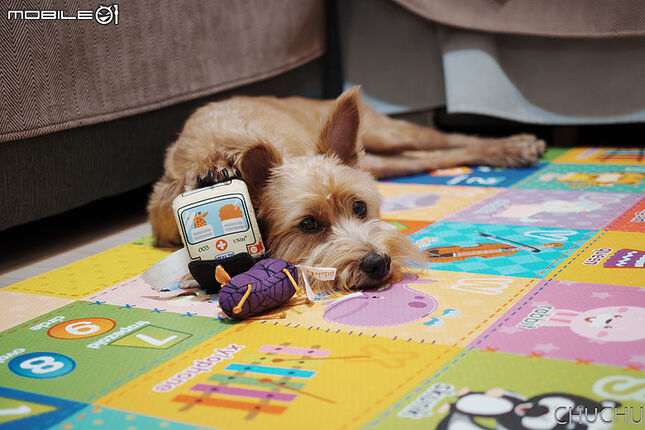 Sony A7M4 與 Contax Vario-Sonnar T* 3.5-4.5/28-70 MMJ