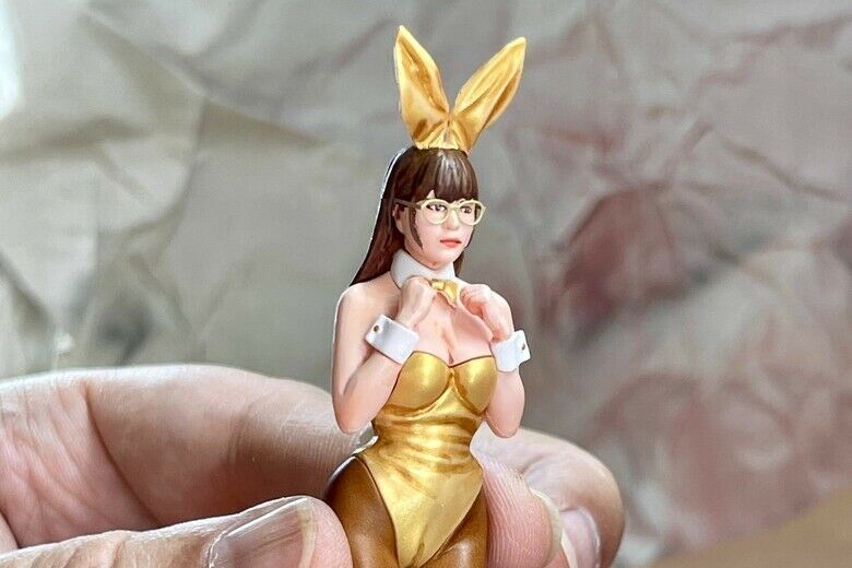 東雲海Bunny Girl 兔女郎模型，終於完成！
