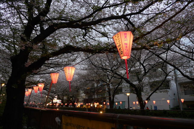 東京與東北自助鬼混 1