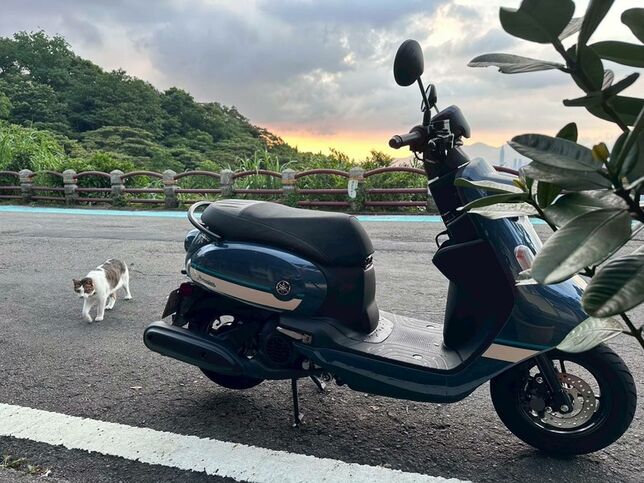 【開箱】山葉復古車Vinoora分享