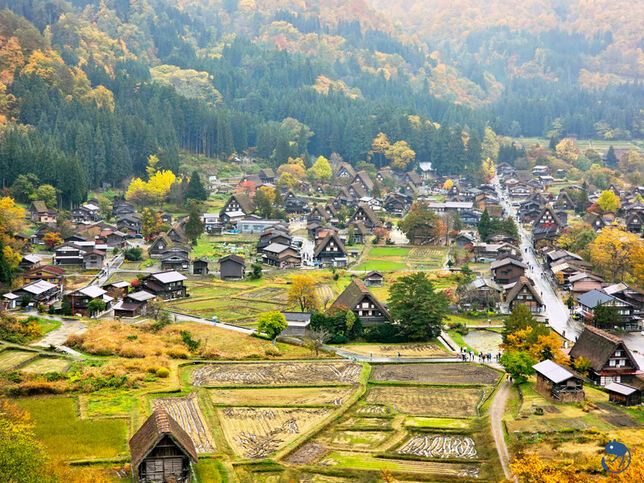 日本-岐阜大野|*暖紅山谷裡的茅葺小屋* 白川鄉合掌村 白川郷合掌造