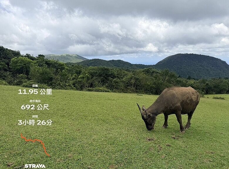 【臺北大縱走第三段】從火山硫氣孔走進青青草原｜小油坑、七星山與擎天崗的療癒山旅