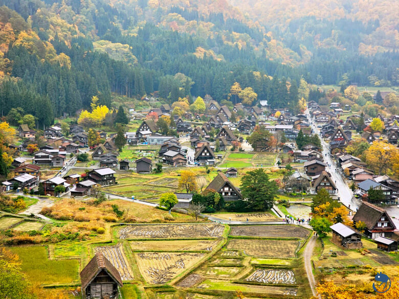 日本-岐阜大野|*暖紅山谷裡的茅葺小屋* 白川鄉合掌村 白川郷合掌造
