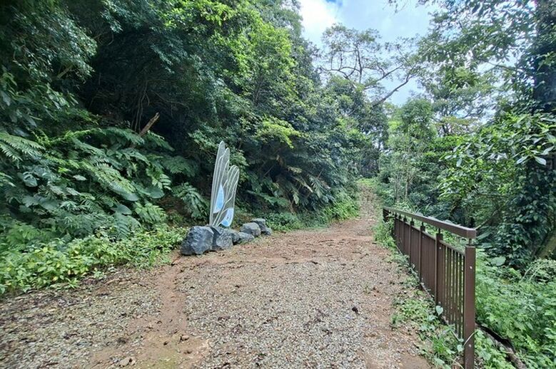 【微笑山線】全新登山步道，大湖之森自然步道，輕鬆健行享受森林浴