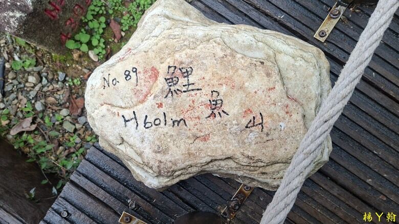 【台灣小百岳】鯉魚潭畔的靜謐午後｜健行鯉魚山，飽覽湖光山色