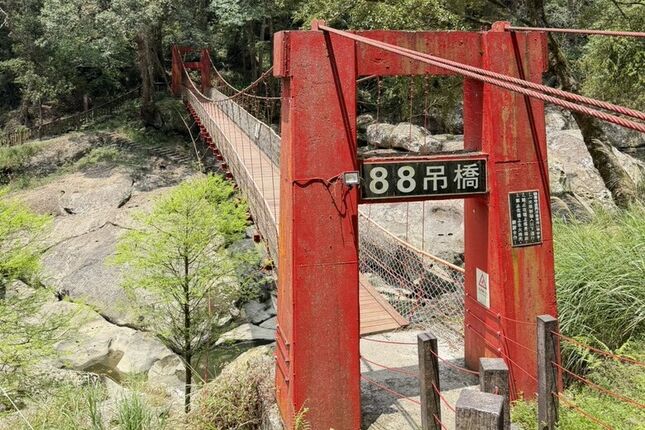 原本小失望，最後卻很喜歡｜杉林溪5小時12公里慢走紀錄