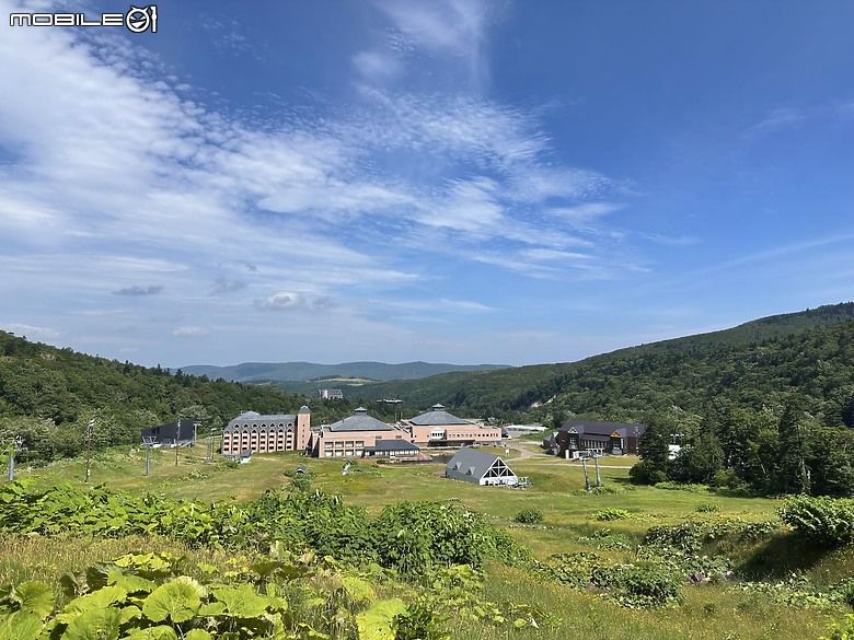 北海道夏日健行｜從 Club Med 出發，輕鬆走進余市岳登山口的森林步道