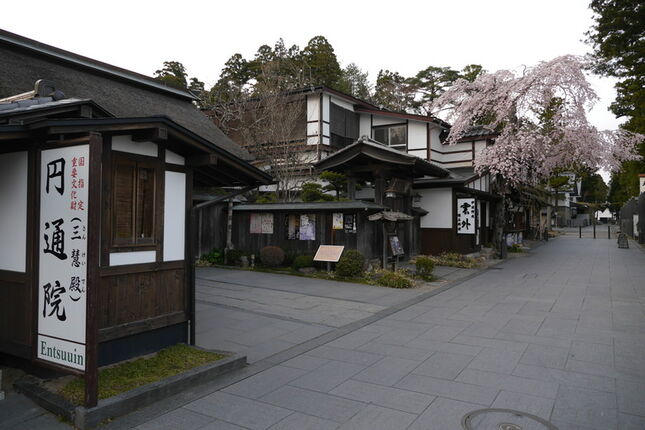 宮城縣旅遊紀錄 松島海岸