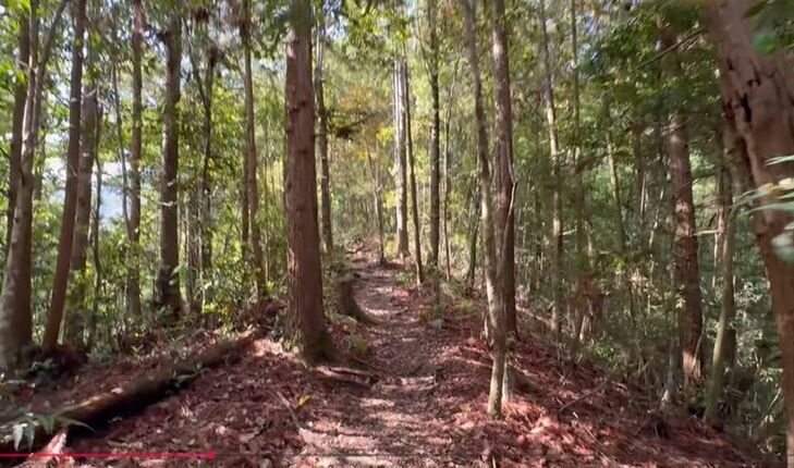 【谷關七雄】等到了！絕美瀑布「蝴蝶谷」步道重新開放！順登唐麻丹山全紀錄！