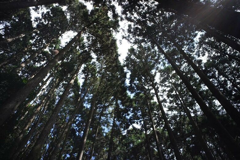 【鵝公髻山避暑行】有山有水有露營｜小百岳露營與八仙瀑布的療癒週末