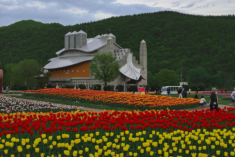 日本-北海道 五月賞芝櫻&鬱金香 ｜東藻琴芝櫻｜瀧上公園｜上湧別町鬱金香