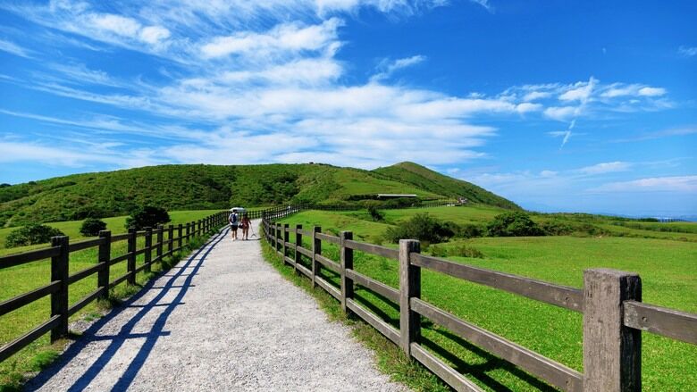 陽明山擎天崗環形步道｜竹篙山・金包里大路城門｜草原與古道的兩小時健行紀錄
