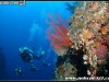 【潛水影片】2007 04/27~29 綠島潛旅 