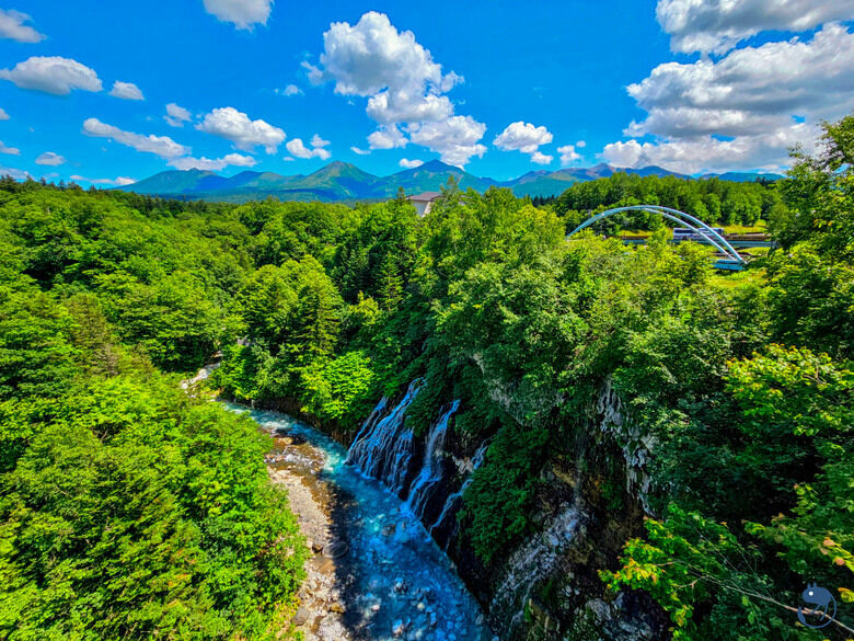 日本-北海道上川|*北海道的夏日絢麗* 美瑛白金青池與白鬚瀑布 白金青い池と白ひげの滝