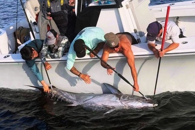Fishing Traveler (環球釣者) - 北美圓夢!! - “2小時40分船拋爆拉500磅狡猾黑鮪魚” Mike iaconelli 夢幻之旅再續新頁 ! Day-6