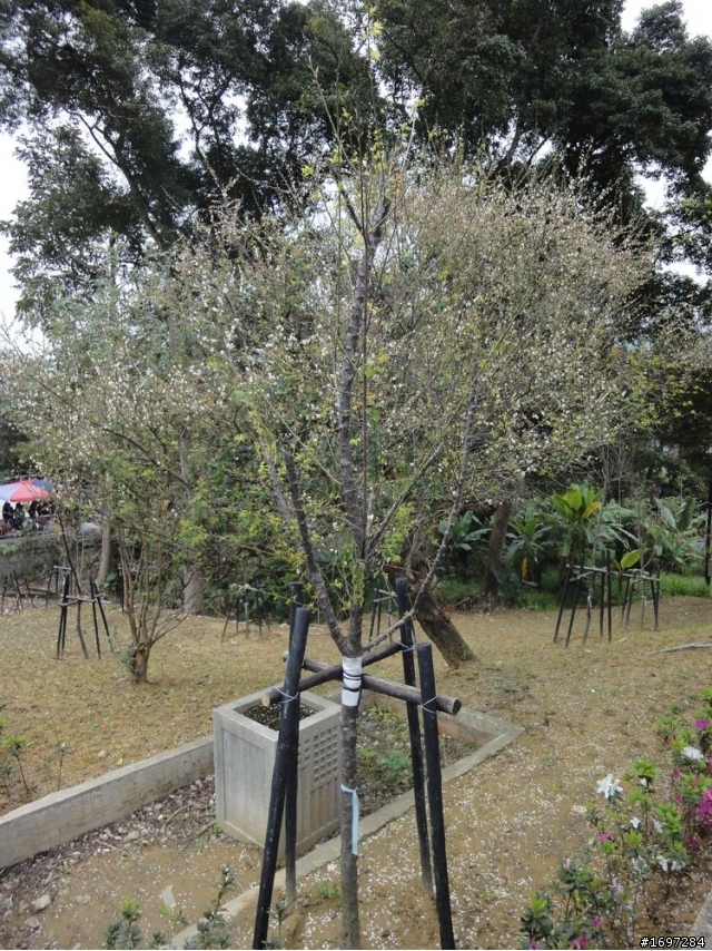 梅山公園